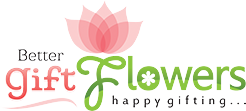 Better Gift Flowers Coupons